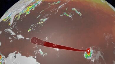 Tropical Storm Dolly could form today