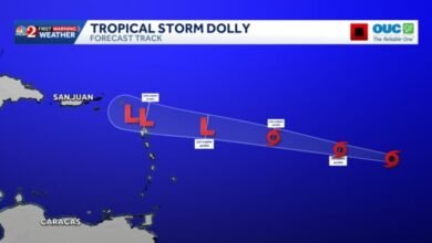 Tropical Storm Dolly to bring heavy rain