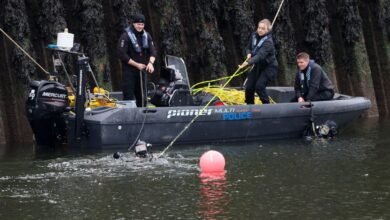 First pictures of three teenagers killed after Audi plunged into River Wear in Sunderland