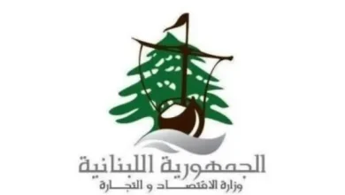 حملة على أصحاب: حملة على أصحاب المولدات… 61 مصادرة و418 محضر ضبط