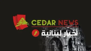 كيف أنهى لقاء: كيف أنهى لقاء مع شخصية من البيئة الشيعية هواجس سفارة كبرى؟