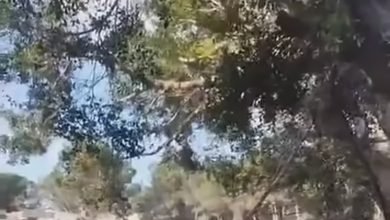 بالفيديو تدمير كامل: بالفيديو: تدمير كامل لمستشفى غندور في النبطية الفوقا