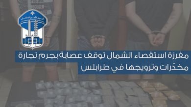 فلسطيني ولبنانيان في قبضة قوى الأمن بجرم تجارة المخدرات