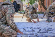 بالصور سوريا تحبط: بالصور: سوريا تحبط تهريب كبتاغون وحشيش ومخدرات قادمة من لبنان