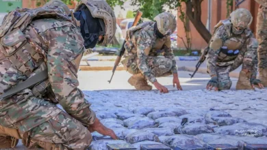 بالصور سوريا تحبط: بالصور: سوريا تحبط تهريب كبتاغون وحشيش ومخدرات قادمة من لبنان
