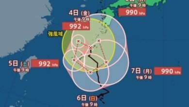 台風情報 ぐるりループ 台風24号: 【台風情報】ぐるりループ?「台風24号（クロヴァン）」は奄美市の南西約50kmを時速20kmの速さで北へ…日本への影響が長期化、全国的に警報級大雨のおそれも…最大瞬間風速30m/s・990hPa 今後の進路予想