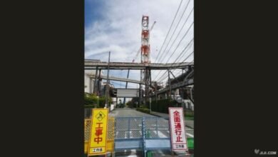 八代工場 遠い操業再開 新聞用紙: 八代工場、遠い操業再開 新聞用紙、他社が代替生産―日本製紙