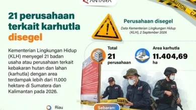 21 perusahaan terkait karhutla disegel