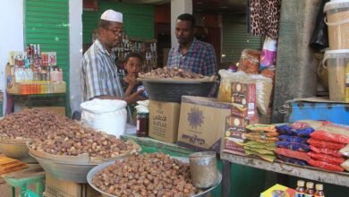 صورة تظهر فيها تمور ومواد غذائية متنوعة، وفي الخلفية يظهر البائع وأحد المشترين برفقة ابنه.