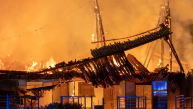 47 Pferde vor Großbrand auf Reiterhof gerettet