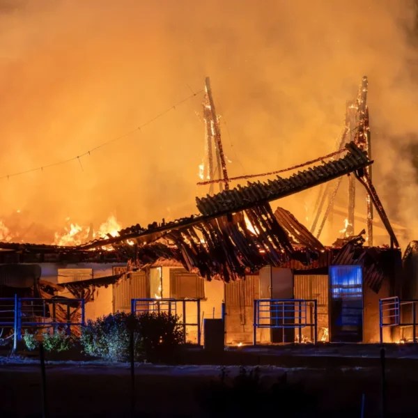 47 Pferde vor Großbrand auf Reiterhof gerettet 1 47 Pferde vor Großbrand auf Reiterhof gerettet
