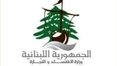 26 محضر ضبط: 26 محضر ضبط و 51 مخالفة للمولدات خلال أيلول