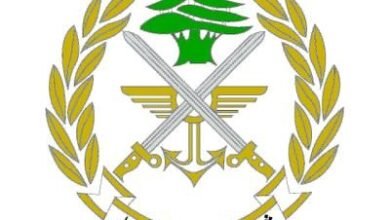 القوات البحرية: القوات البحرية في الجيش تنتشل جثة مجهولة الهوية مقابل شاطئ صور