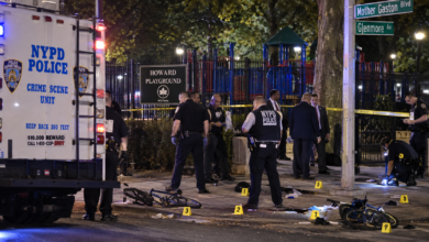 Two Men Fatally: Two Men Fatally Shot Near Howard Playground in Brooklyn