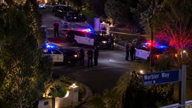 Shooting: Police Shooting Investigation Underway in Hollywood Hills, LAPD Says