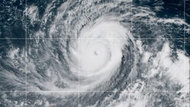 Tropical Storm Warnings: Breaking Update: Tropical Storm Warnings Issued for Kauai and Niihau as Hurricane Lowell Approaches