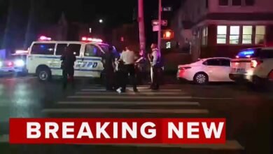 NYPD Officer Fires: Video: NYPD Officer Fires Shot During Gunpoint Carjacking in Midwood, Brooklyn