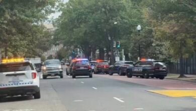 Man Reportedly Handcuffed: Video: Man Reportedly Handcuffed Near White House Fence as Situation Develops