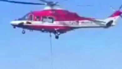 Drammatico salvataggio elicottero: Video: Drammatico salvataggio in elicottero di un vitello caduto in un burrone in Sardegna