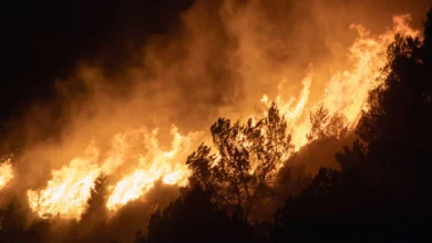 À Tarare un incendie déclenché à cause de pétards ?