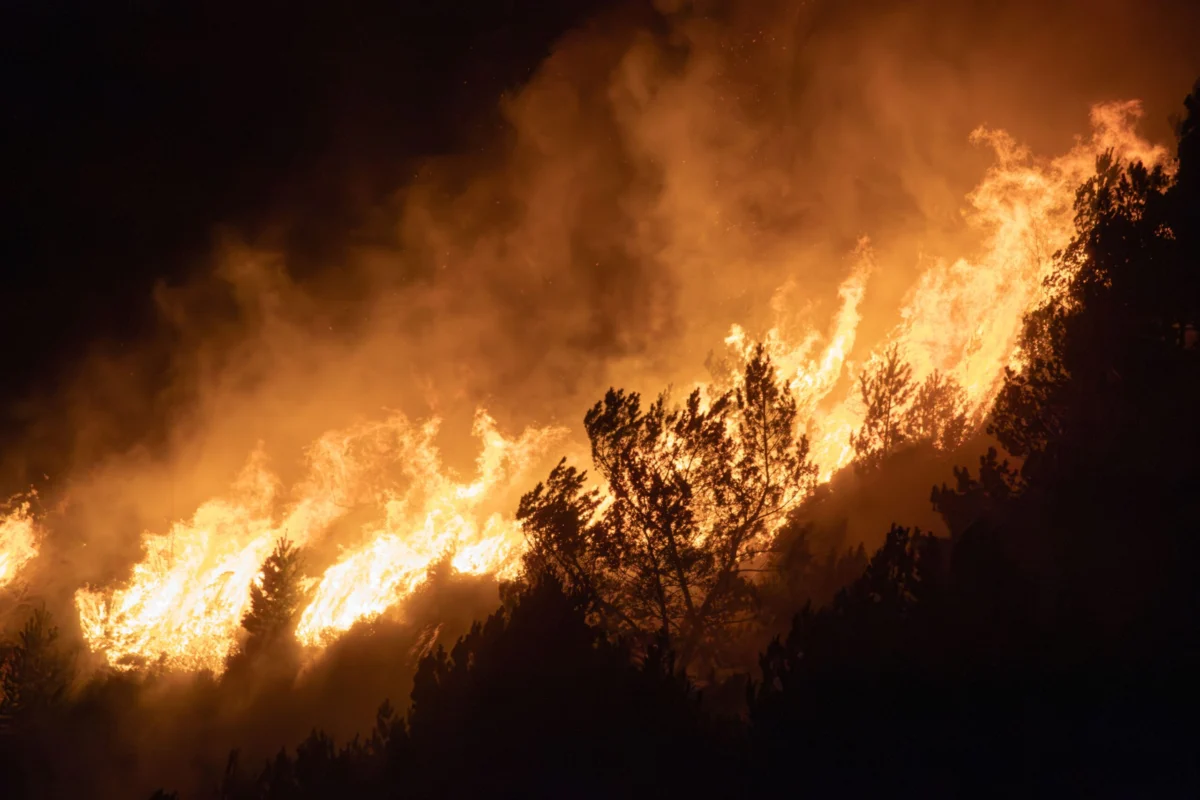 À Tarare un incendie déclenché à cause de pétards ?