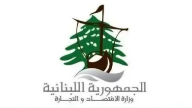 مصلحة الاقتصاد: مصلحة الاقتصاد في الجنوب سطرت ٩ محاضر ضبط بحق مخالفين لتسعيرة المولدات