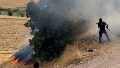 Adıyaman Kuştepe'de bahçede çıkan yangın söndürüldü, ölen ya da yaralanan olmadı