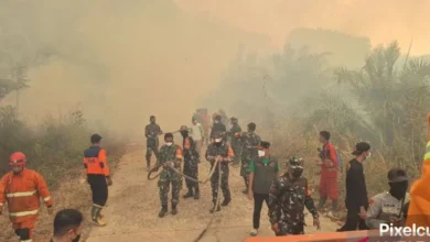 Akses dan sumber air kendala pemadaman karhutla Batang Hari 6 Akses dan sumber air kendala pemadaman karhutla Batang Hari