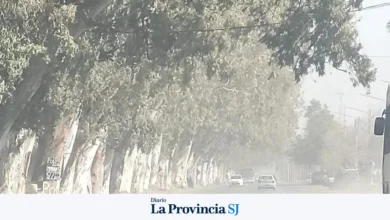 Alerta amarilla por viento Zonda en San Juan: prevén ráfagas que podrían superar los 70 km/h 4 Alerta amarilla por viento Zonda en San Juan: prevén ráfagas que podrían superar los 70 km/h
