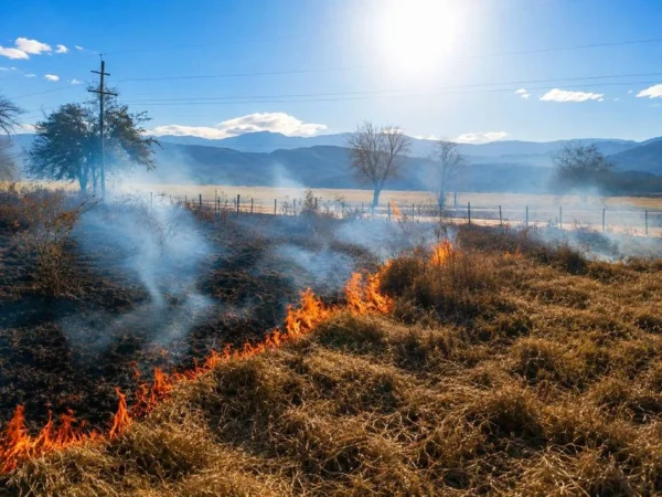 Alerta roja por peligro alto de incendios forestales en Salta Capital, Orán y Tartagal