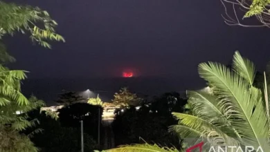 Anggota DPR minta pastikan masker hingga obat tersedia saat erupsi 5 Anggota DPR minta pastikan masker hingga obat tersedia saat erupsi