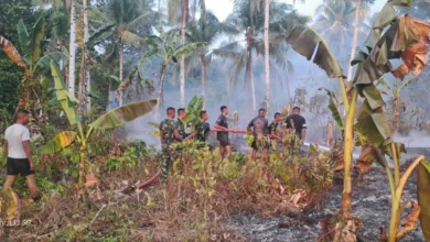 Aparat dan Warga Bergerak Cepat Padamkan Kebakaran Lahan di Wayamiga