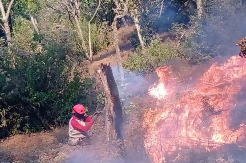 Asap tebal jadi tantangan pemadaman karhutla di Gunung Bromo dan Butak