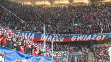 Atak na kibica Wisły Kraków przed meczem na Reymonta. Agresor w areszcie, śledztwo trwa