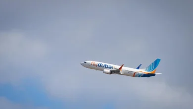 Attaque à bord du Flydubai : plusieurs pistes examinées, dont celle d’un terroriste ayant agi seul