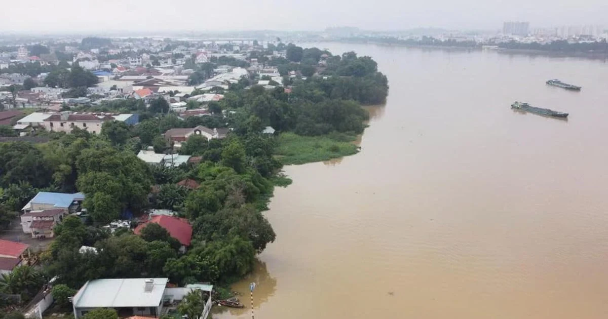aux inondations sur la rivière Dong Nai le 14 septembre 2026 : le niveau d'eau à Ta Lai fluctue au niveau d'alerte 1-2. 1 aux inondations sur la rivière Dong Nai le 14 septembre 2026 : le niveau d'eau à Ta Lai fluctue au niveau d'alerte 1-2.