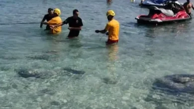 شاطئ طرابلس وجزيرة: شاطئ طرابلس وجزيرة الأرانب على موعد مع حملة للوقاية من الغرق