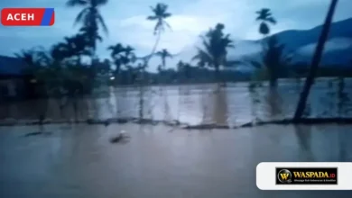 Banjir Rendam Permukiman dan Ratusan Lahan Pertanian di Enam Kecamatan di Aceh Tenggara 7 Banjir Rendam Permukiman dan Ratusan Lahan Pertanian di Enam Kecamatan di Aceh Tenggara