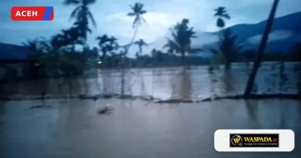Banjir Rendam Permukiman dan Ratusan Lahan Pertanian di Enam Kecamatan di Aceh Tenggara