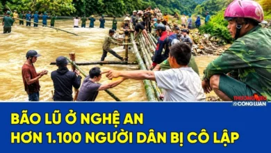 Bão lũ ở Nghệ An: Hơn 1.100 người dân bị cô lập 3 Bão lũ ở Nghệ An: Hơn 1.100 người dân bị cô lập