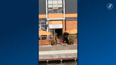 Beelden tonen verdachte na dodelijke schietpartij Amsterdam 4 Beelden tonen verdachte na dodelijke schietpartij Amsterdam