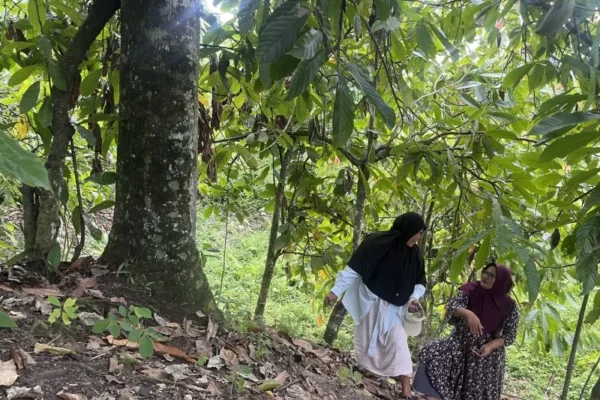 Beutong Ateuh: Belum pulih dari banjir bandang, izin tambang datang