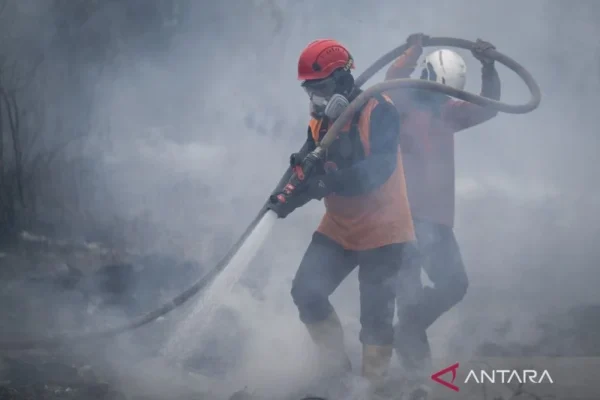 BNPB berhasil padamkan 71.274 hektare lahan gambut di enam provinsi