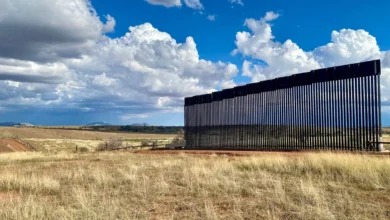 Border wall protesters