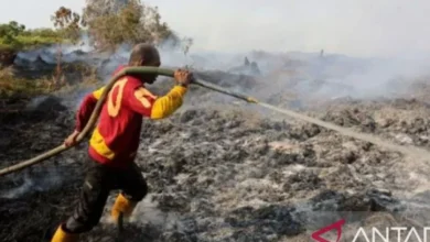 BPBD Karawang: Ratusan kebakaran terjadi sepanjang Januari-September