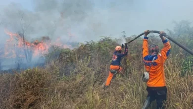 BPBD: Karhutla Poso hanguskan 50 hektare lahan gambut dan kebun warga