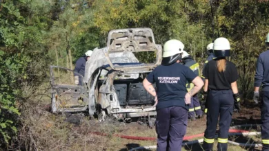 Brand bei Cottbus: Mann findet sein Auto im Wald in Flammen vor