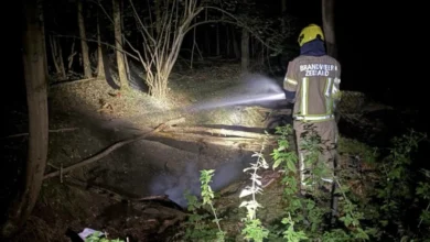 Brand in bosgebied Oostkapelle geblust