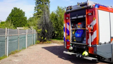 Brand in coniferen na onkruid branden op Staat