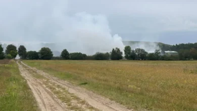 Brand in Cottbus: Rauch über Saspow bei Alba - so gefährlich ist es für Anwohner